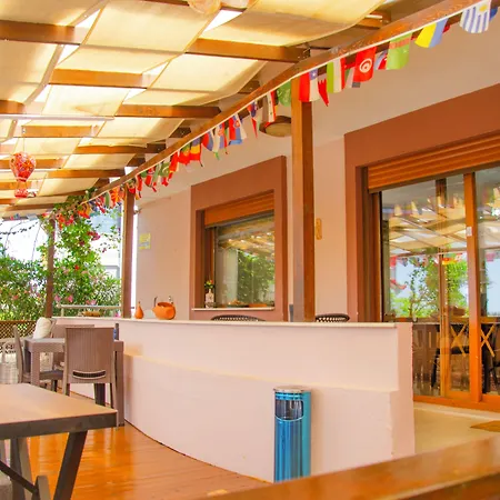 Ephesus Palace 2* Сельчук