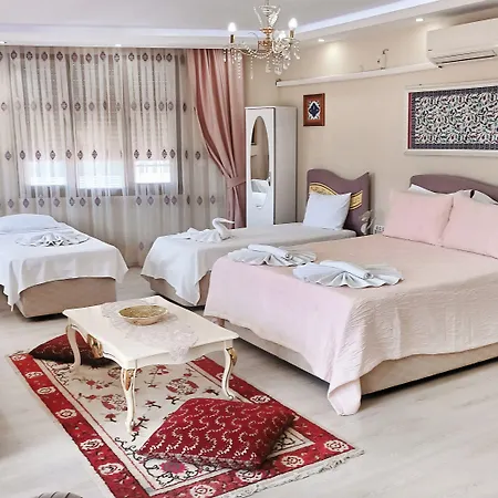 Отель Ephesus Palace 2*