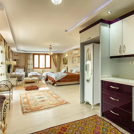 Ephesus Palace 2* Сельчук