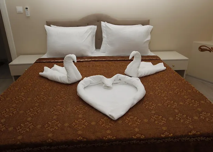 酒店 Ephesus Palace 2*