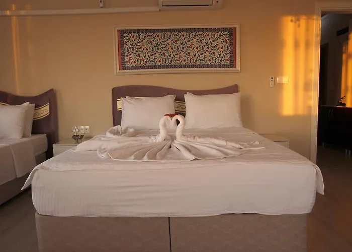 호텔 Ephesus Palace 2*