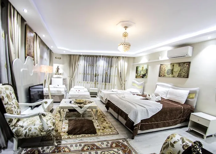 호텔 Ephesus Palace 2*