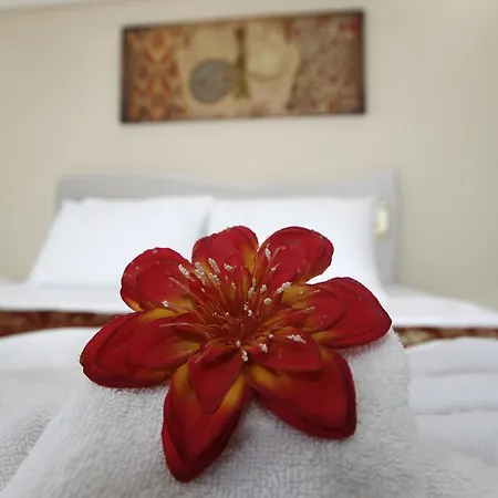 Otel Ephesus Palace 2*