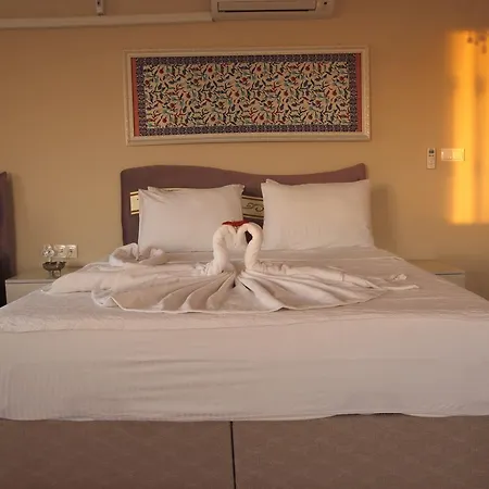 Otel Ephesus Palace 2*