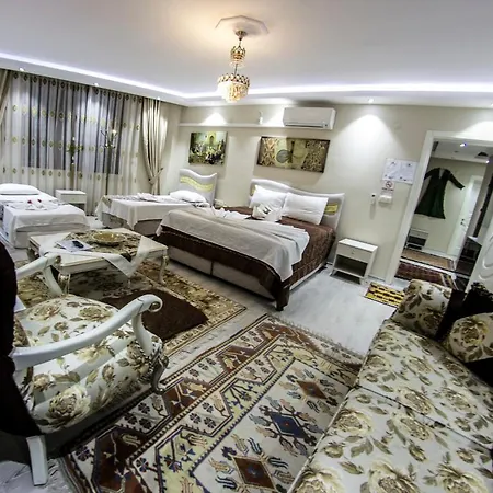 호텔 Ephesus Palace 2*