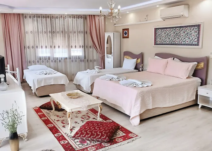 Hotel Ephesus Palace 2*