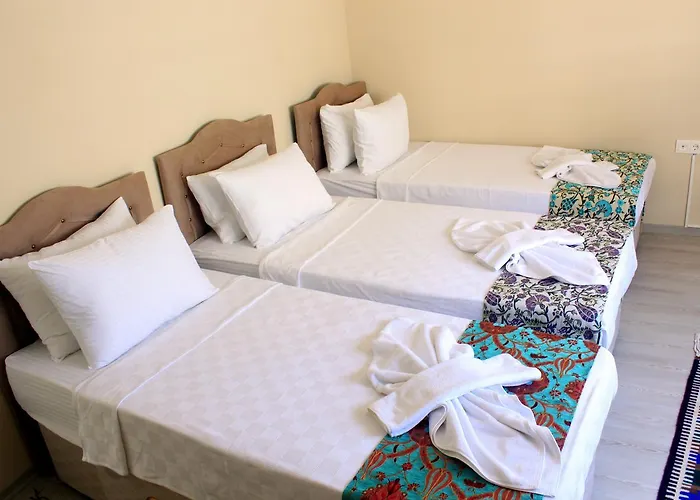 Ephesus Palace Hotel 2*