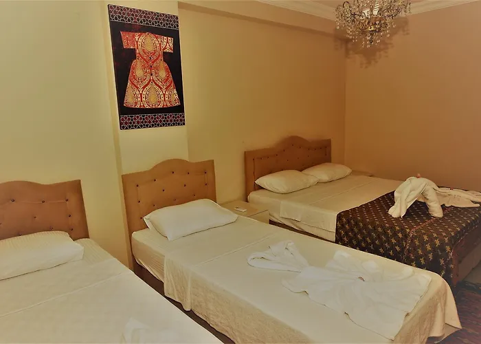 Ephesus Palace מלון 2*