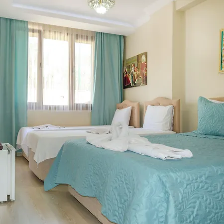 酒店 Ephesus Palace