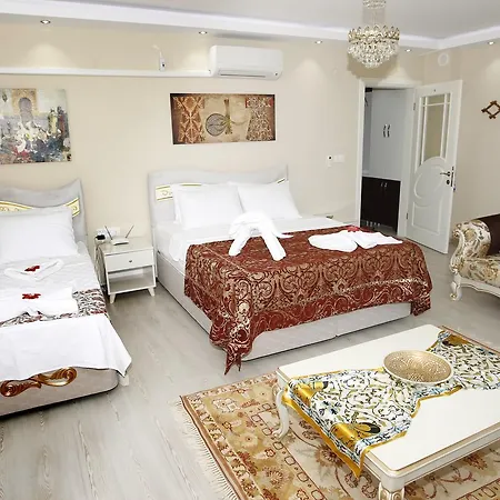 Ephesus Palace 酒店 塞尔丘克