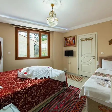 酒店 Ephesus Palace 2*