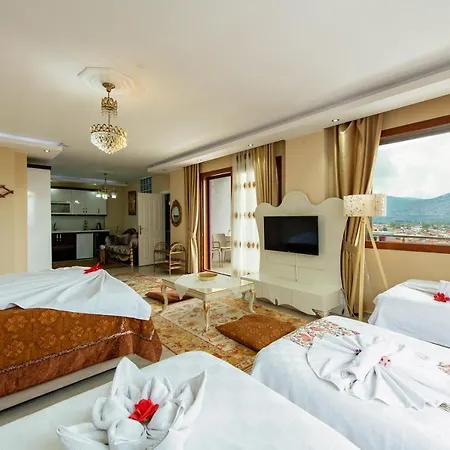 Ephesus Palace 酒店 塞尔丘克