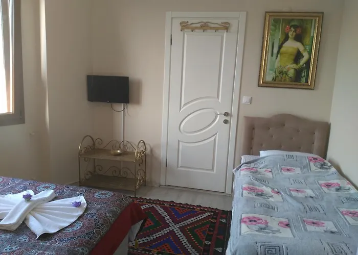 Hotel Ephesus Palace 2*