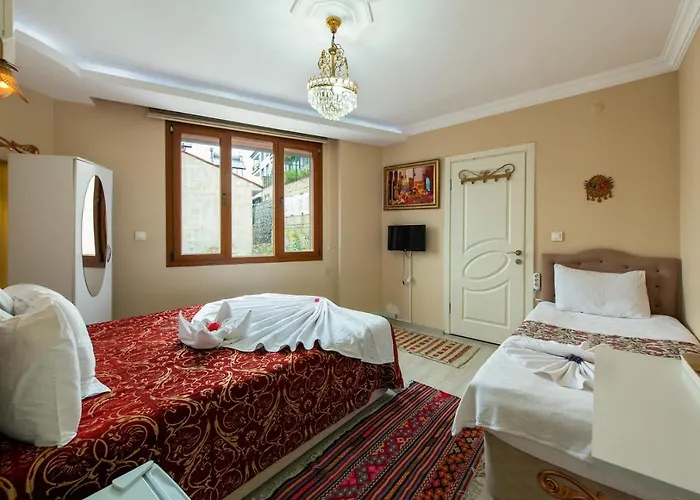 Hotell Ephesus Palace 2*